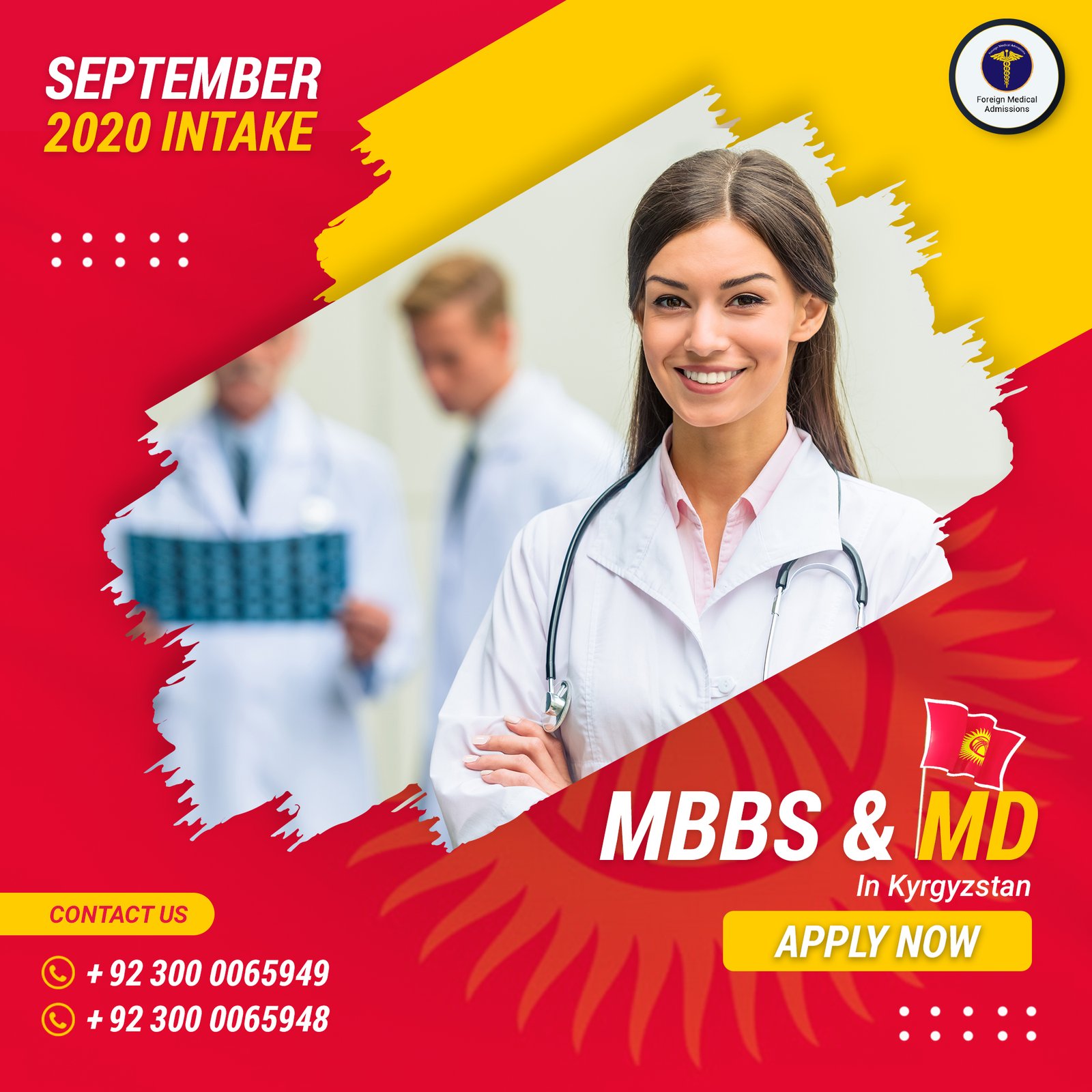 Graphic Designing Project: International MBBS & MD Admissions Agency image 4